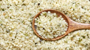manfaat biji hemp